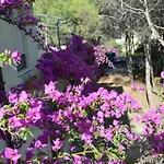 Vacanze Sardegna Mare San Giovanni * ポザーダ