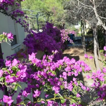 Vacanze Sardegna Mare San Giovanni * פוסאדה