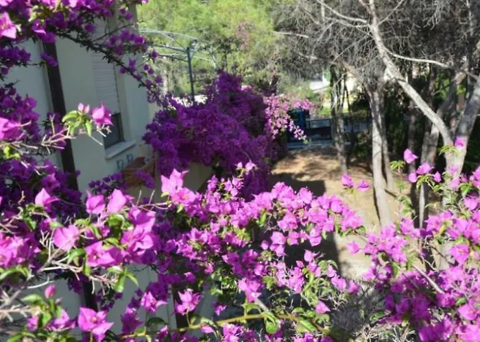 Vacanze Sardegna Mare San Giovanni * Posada (Sardinia)