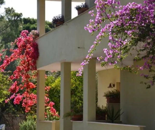 Vacanze Sardegna Mare San Giovanni * Posada (Sardinia)